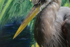 Great blue heron.