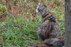 She loved watching the squirrels and birds.