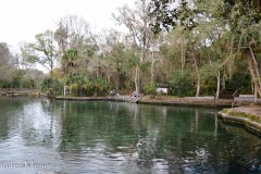 During warm days, the spring pool is packed.