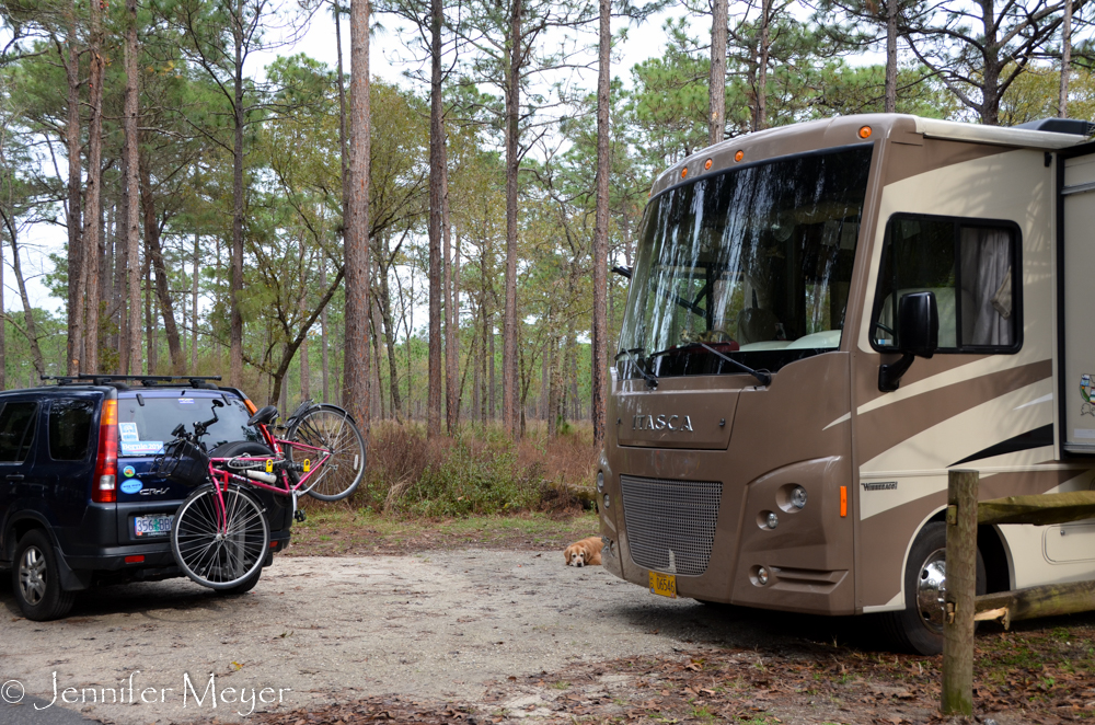 Our nice spot in the state park.