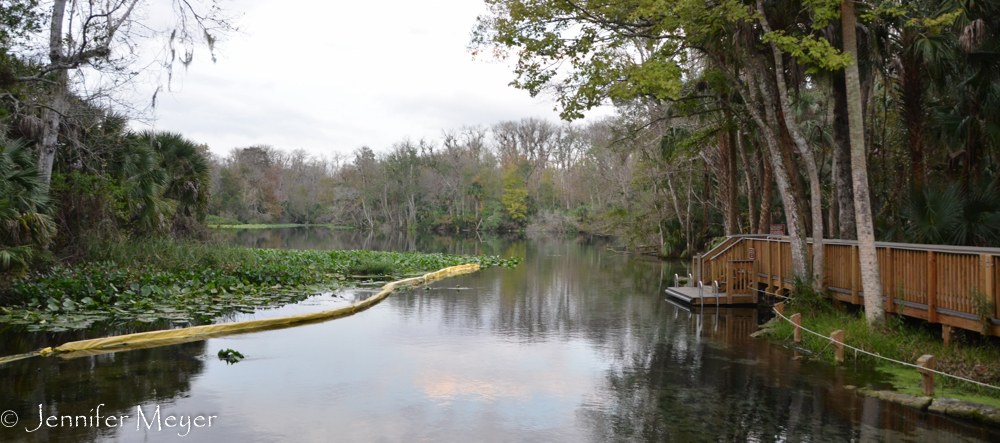 The spring connects to Wekiwa River.