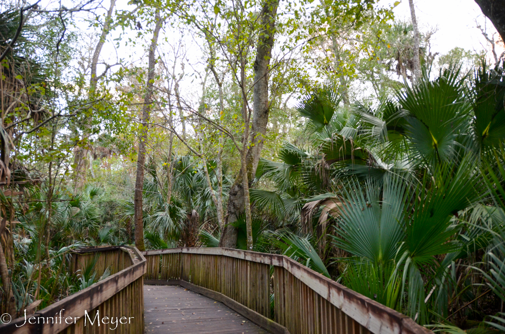 And there are boardwalk paths through jungle areas.