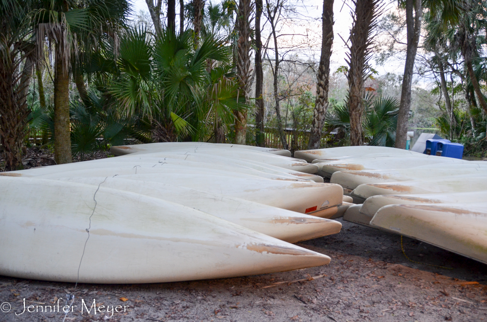 Lots of canoes for rent.