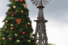 Christmas tree in the square.