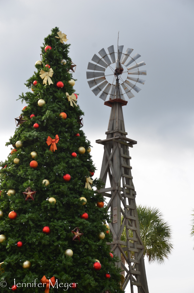 Christmas tree in the square.