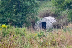 Ray children were charged with carrying water from the springhouse for the wounded.