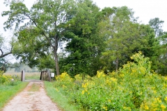 The road crosses Wilson Creek.