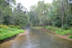 Wilson Creek.