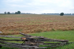 In this field, General Siegel's 1,200 men attacked the Confederates from the south.
