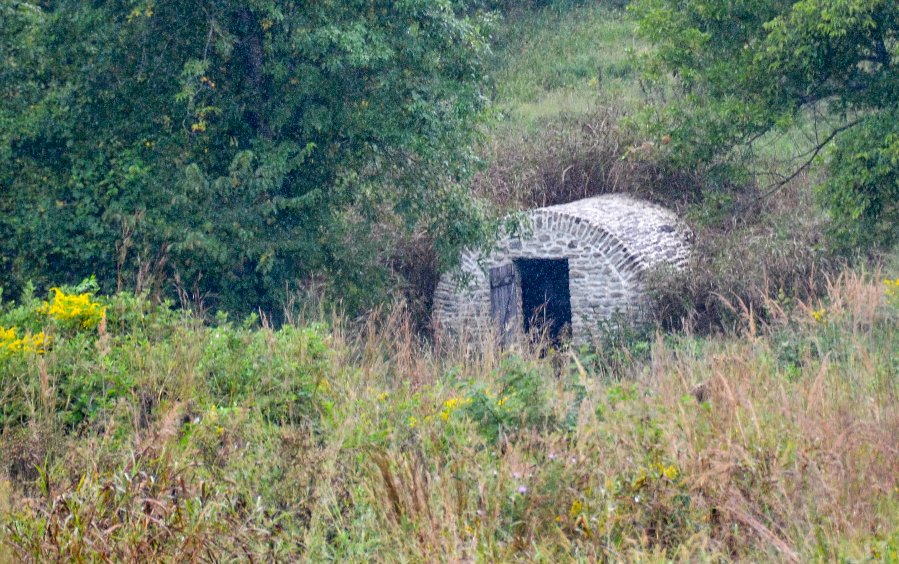 Ray children were charged with carrying water from the springhouse for the wounded.