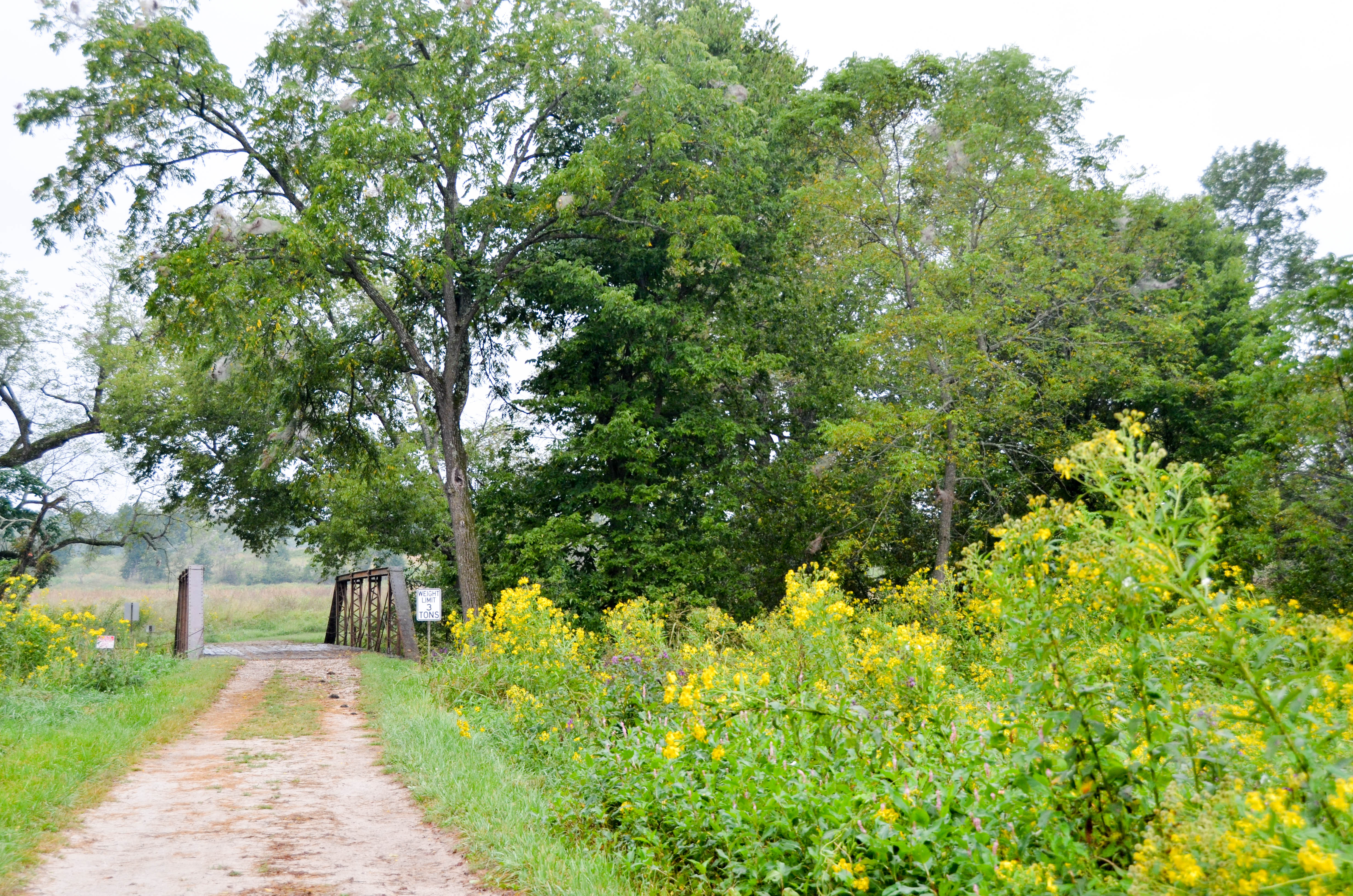 The road crosses Wilson Creek.