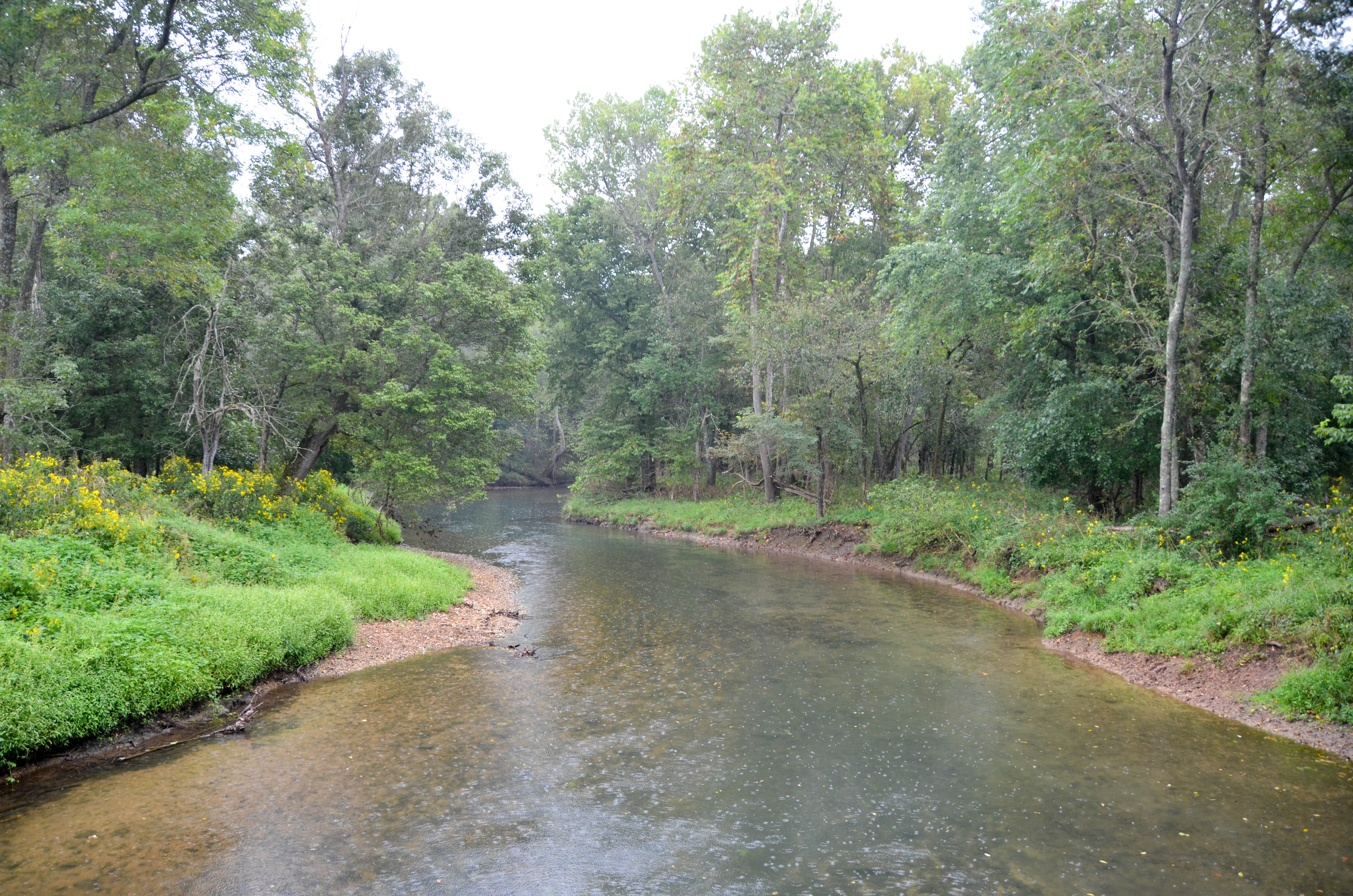 Wilson Creek.