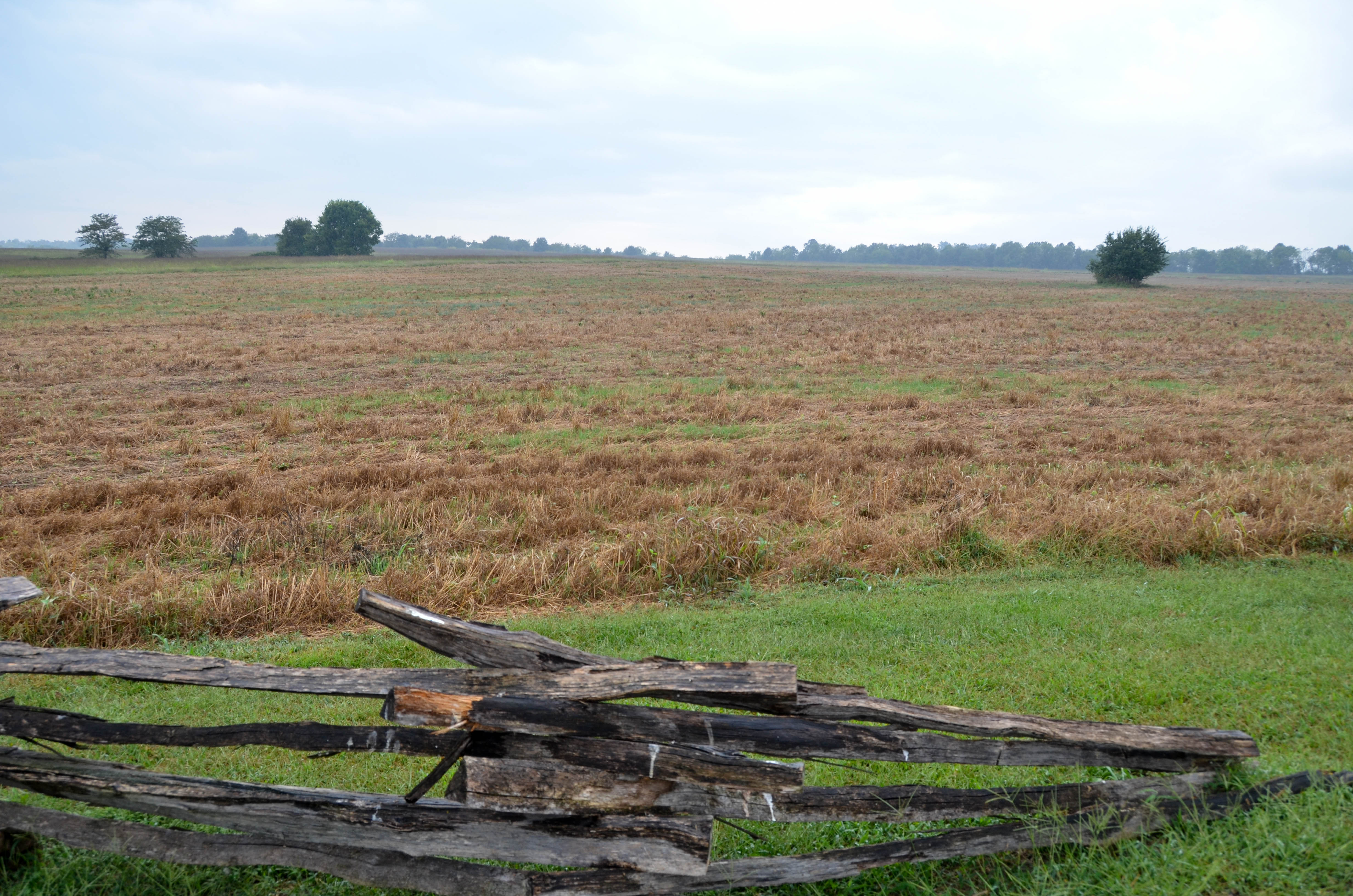 In this field, General Siegel's 1,200 men attacked the Confederates from the south.