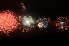 We found a perfect spot of the highway to watch them.