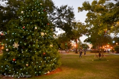 Lots of lights and Christmas trees.