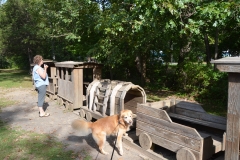 This was a cute playground train.