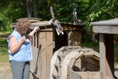 Gypsy thought it was loads of fun.