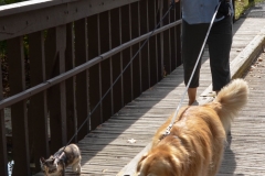 We got both the kids ready for a nap before our drive.