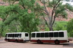 Inside the park, free shuttles take you all through the park.