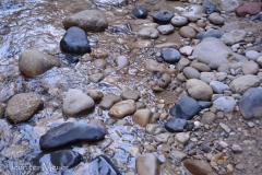 The river bed is full of large smooth stones.
