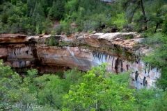 Weeping rock from above.