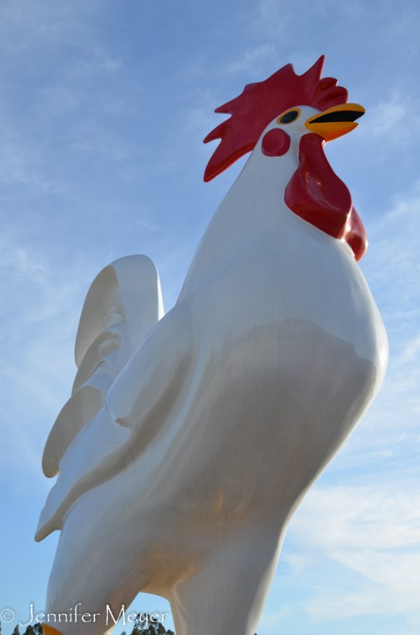 Windmill Farm One Year on the Road