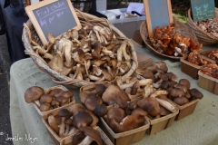 Mushroom picking is popular in Oregon.