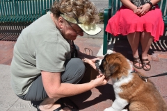 We met a St. Bernard puppy.