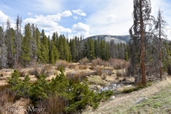 We drove into the Rocky Mountain National Park.