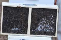 He had to get them out of their temporary box...