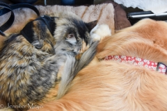 Curling up for the ride.