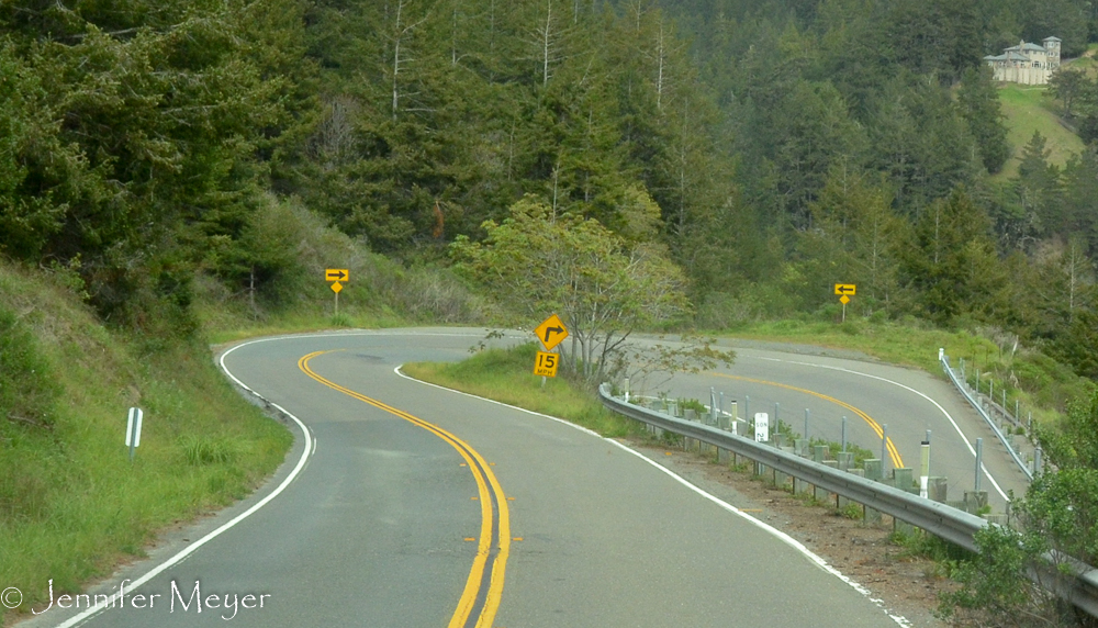 So many hairpins.