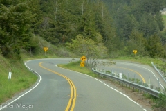 So many hairpins.