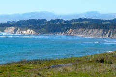 Only 15 more miles up the coast to Point Arena.