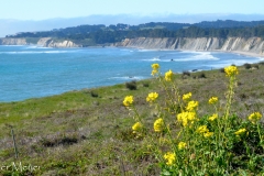 After 2.5 hours of creeping around curves, this view welcomed us.