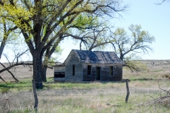 Old cabin on the road.