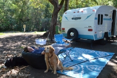 Kelly hanging out with our dog.
