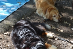 The girls were quite relaxed.