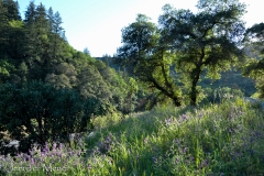 On the walk back to the campsite.