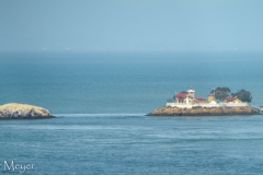 Funny little island in the S.F. Bay.