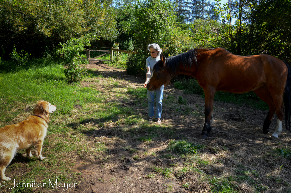 Bailey really wanted to steal the Aria's carrots, but she was a little scared of such a big beast.