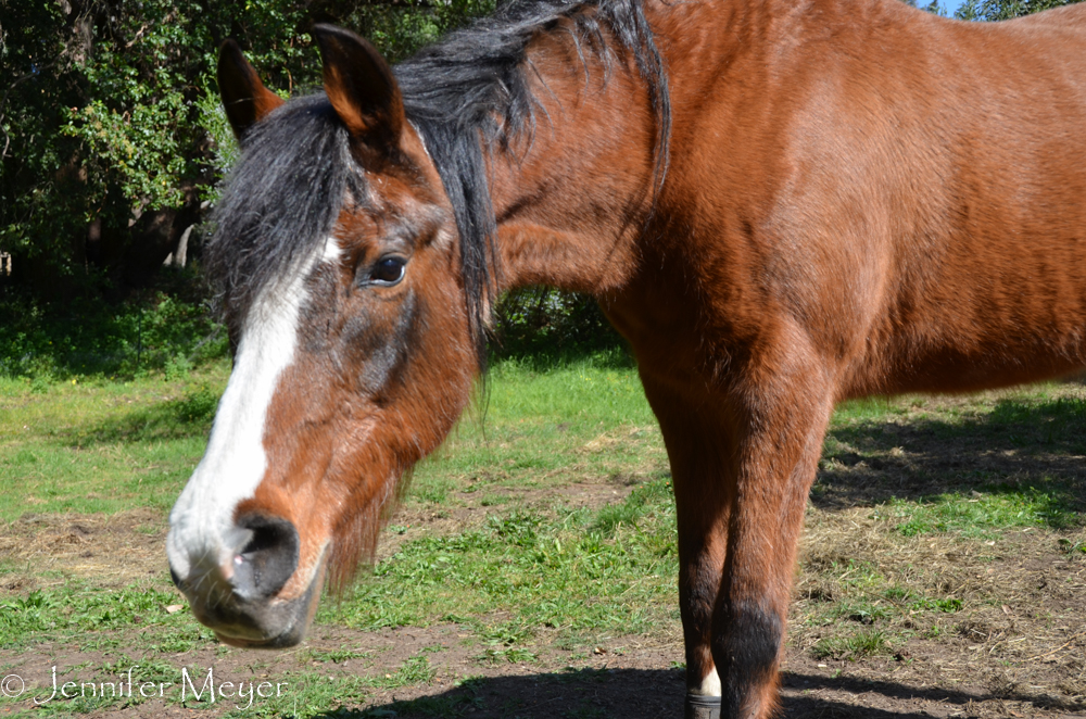 Aria's so gentle, though.