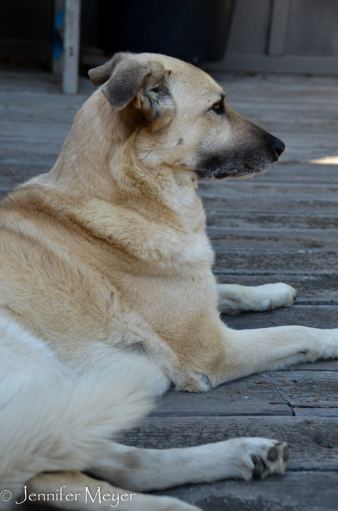 Shea and Bailey had met years ago when Ray visited Eugene, butr I don't think they remembered.