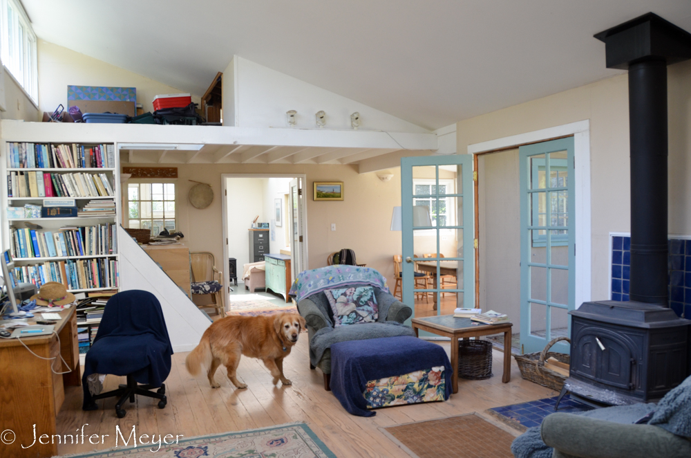 Ray's house is so beautiful. Light and airy and perfect for one.