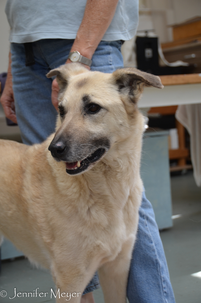 Ray and Shea seem very happy there.