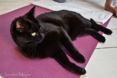 Cat on a mat.