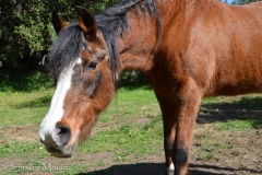 Aria's so gentle, though.