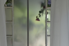 Flowers outside the shower.