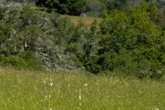 So beautiful up there.