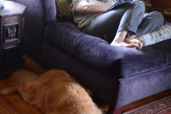 So comfortable to hang out in Laura and Karyn's house.